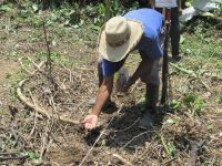 Priorizarán problemáticas de seguridad alimentaria y nutricional en Bolívar