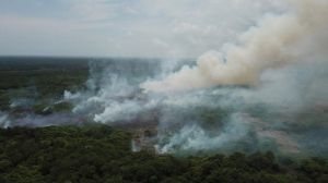 Barranquilla presentará estrategia integral cero incendios en Parque Isla Salamanca