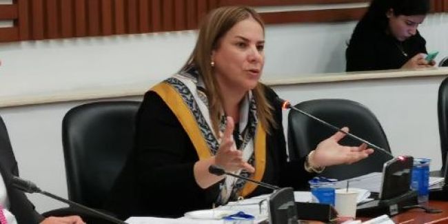 Representante Martha Villalba propone medidas para contrarrestar efectos del Covid-19