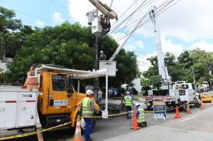 Instalación de postes y redes en sectores de Villa Santos y El Poblado