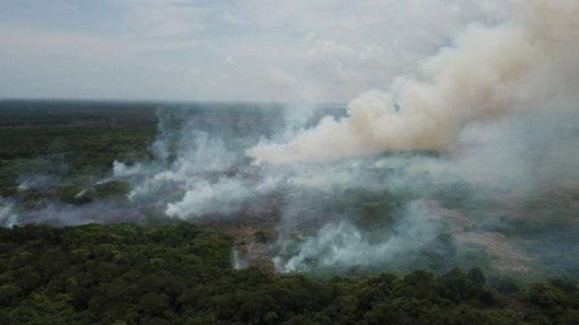 Barranquilla no aguanta más quemas y propone soluciones de fondo en isla Salamanca