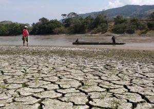 Los Estragos de la sequía