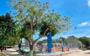 En el Día de Velitas, la Gobernadora del Atlántico entrega el Parque Nuevo Horizonte de Polonuevo