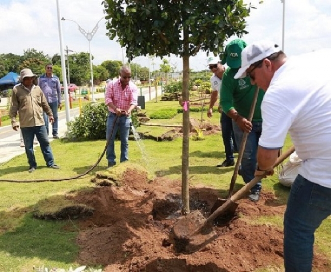4000 árboles más con el programa Siembra Barranquilla