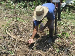Priorizarán problemáticas de seguridad alimentaria y nutricional en Bolívar